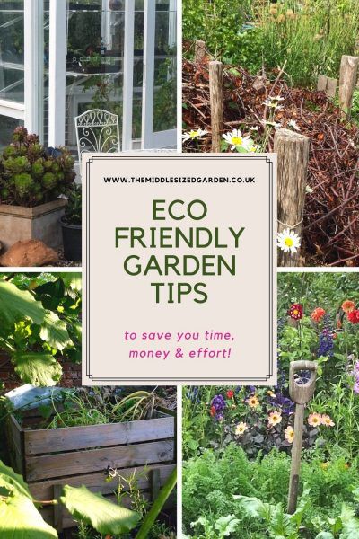 Eco friendly garden tips that will also save you time, money or effort #middlesizedgarden Eco Friendly Garden Ideas, Collect Rainwater, Sustainable Garden Design, Sustainable Landscape, Save Planet, Kitchen Scraps, Eco Garden, Eco Friendly Garden, Herbaceous Border