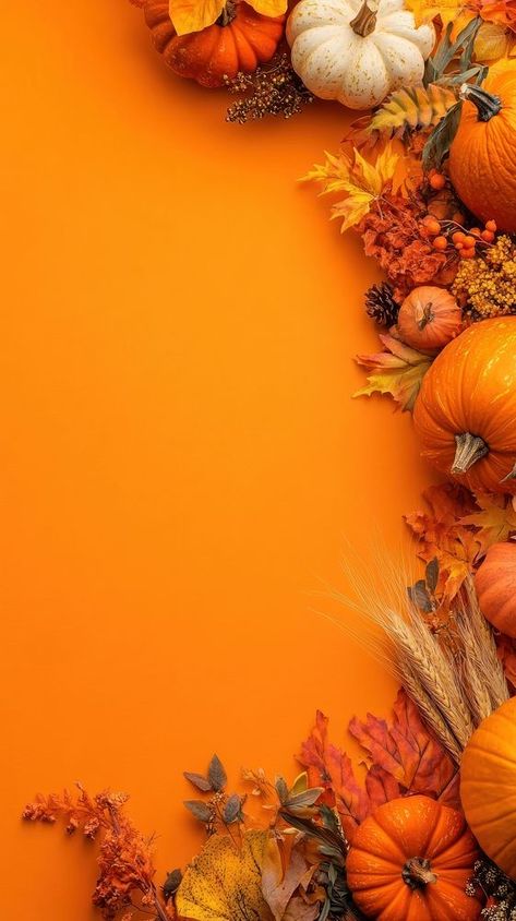 Thanksgiving pumpkin orange colors. | free image by rawpixel.com / Nunny Wallpaper Iphone Thanksgiving, Thanksgiving Backgrounds Wallpapers, Thanksgiving Wallpapers Aesthetic, Happy Thanksgiving Aesthetic, Thanksgiving Wallpaper Iphone, Orange Template, Happy New Year Sign, Happy Thanksgiving Wallpaper, Fall Iphone Wallpaper