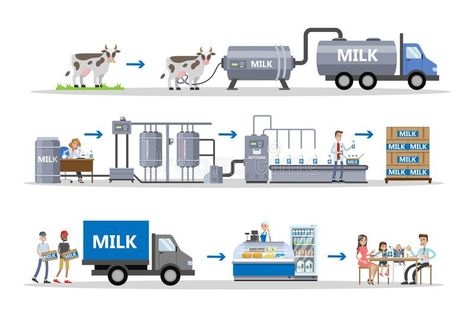 Dairy Farm Design, Production Infographic, Ielts Writing Task1, Nat And Alex Wolff, Factory Illustration, 2023 Illustration, Milk Factory, Alex Wolff, Process Chart