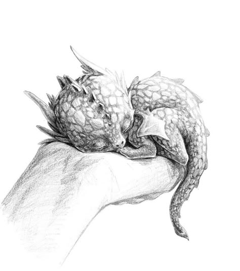 Cutest Dragon Ever [http://effenndee.wordpress.com/2011/04/18/baby-dragon/] Dengeki Daisy, Creature Fantasy, Here There Be Dragons, G-dragon, Dragon Sketch, Here Be Dragons, Fantasy Drawings, Samurai Tattoo, Vampire Knight