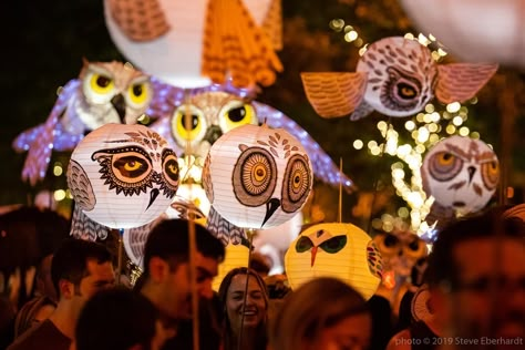 Lantern Parade Diy, Paper Lantern Festival, Lantern Light Festival, Harvest Moon Animal Parade, Lanterns Festival, Paper Lantern Owl, Lantern Walk, Paper Lantern Making, Lantern Making