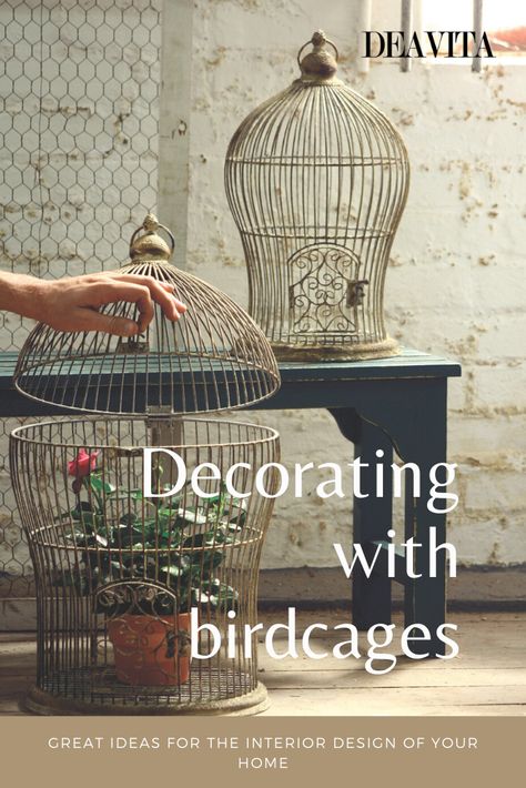 Decorating with birdcages provides you a unique opportunity to add something beautiful and unexpected to your home decor. A birdcage, especially if it looks like a real work of art, can be a great way to decorate a home interior. Many people love cages with live birds as they give the house a special charm, but along with the charm come quite many duties, cleaning, etc. Luckily, a cage can be used in many different ways either empty or filled with a variety of items. Bird Cage Makeover, Decorating With A Bird Cage, Birdcages Decor Ideas Display, How To Decorate With Bird Cages, Bird Cage Table Centerpiece, Birdcage Ideas Decor, Vintage Birdcage Decor Ideas, Birdcage Repurpose Ideas, Decorating A Bird Cage Ideas