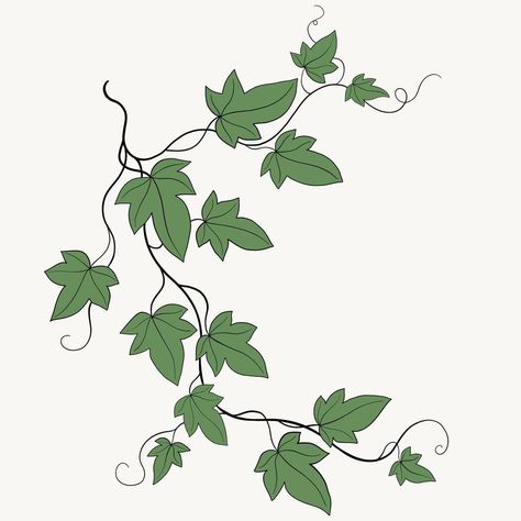 Floral ivy drawing decorative ornament flat design. Easy Vine Drawings, Ivy Line Art, Ivy Leaf Drawing, Vine Doodles, Ivy Illustration, Ivy Drawing, Vines Drawing, Ivy Draw, Vine Clipart