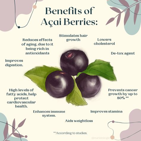 Açaí Benefits, Acai Powder Benefits, Acai Bowl Benefits, Acai Berry Benefits, Benefits Of Acai, Herbal Nutrition, Acai Benefits, Benefits Of Berries, Fruit Nutrition