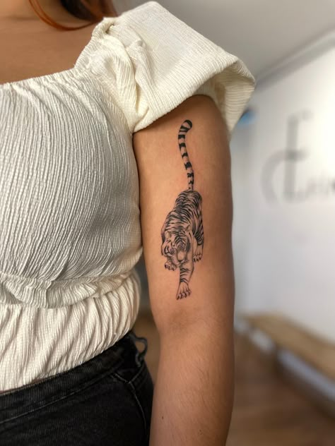 Tiger tattoo fine line Line Tiger Tattoo, Simple Tiger Tattoo, Fine Line Tiger Tattoo, Tiger Tattoos, Tattoo 2023, Tattoo And Piercings, Ghibli Tattoo, Palm Tattoos, Pisces Tattoos