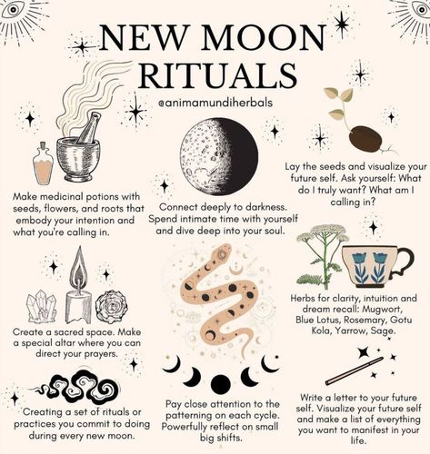 9 Things You Should (and Should Not!) Do During a New 🌑 Moon Witch Marks, Shadow Journal, Witchcraft Knowledge, Spiritual Understanding, Witchy Journal, Types Of Witches, Wiccan Crafts, Moon Magick, New Moon Rituals