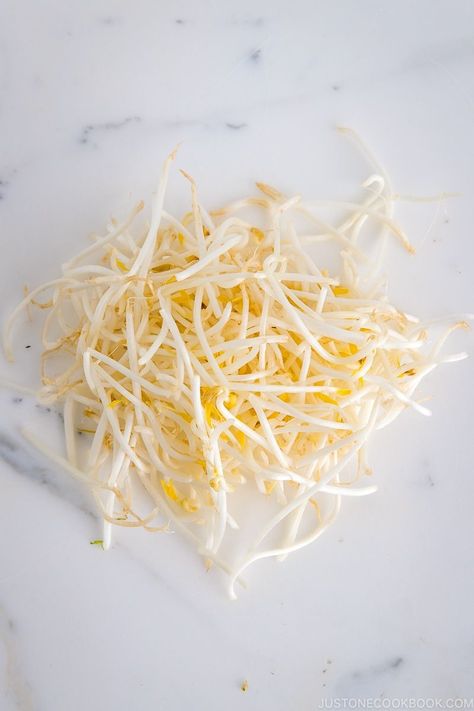 Bean Sprouts (Moyashi) | Easy Japanese Recipes at JustOneCookbook.com Health Benefits Of Beans, Recipes Using Beans, Bean Sprout Salad, Ramen Toppings, Vegetarian Ramen, Just One Cookbook, Bean Sprout, Sprout Salad, Easy Japanese Recipes