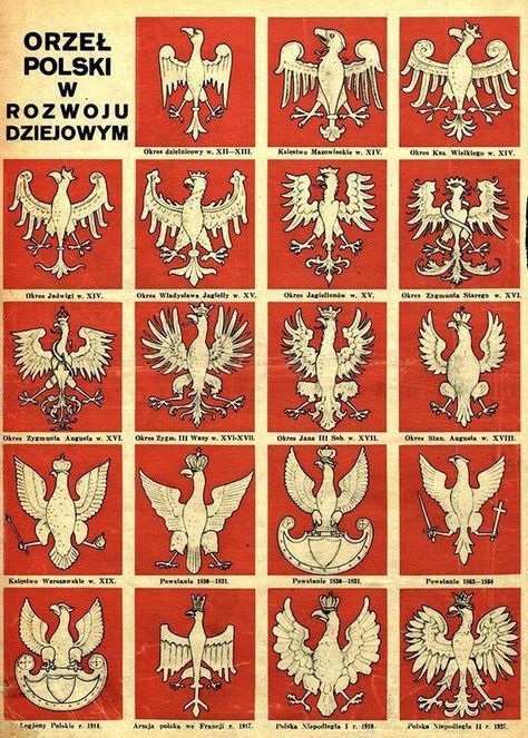 Evolution of the Polish Eagle's... - Learn Polish Daily Polish Hussars, Polish Tattoos, Polish Flag, Polish Winged Hussars, Polish Eagle, Poland History, Polish Traditions, Polish Culture, Visit Poland