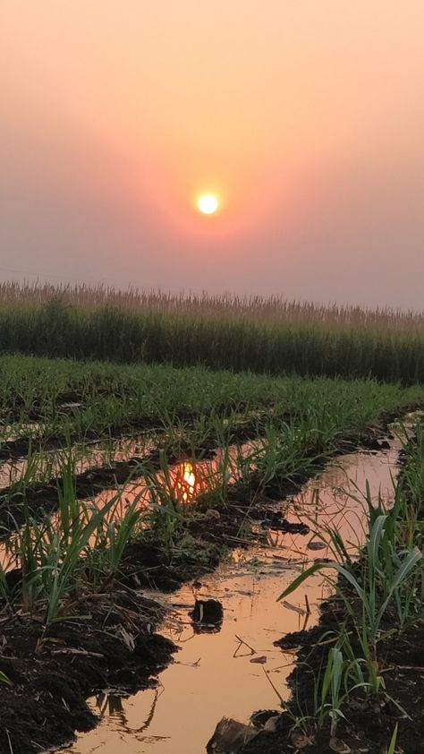 Village Photography Nature, Village Asthetic Picture, Village Pic, Village Aesthetic, Green Village, Nature Instagram, Village Photography, Sky Photography Nature, Instagram Picture Quotes