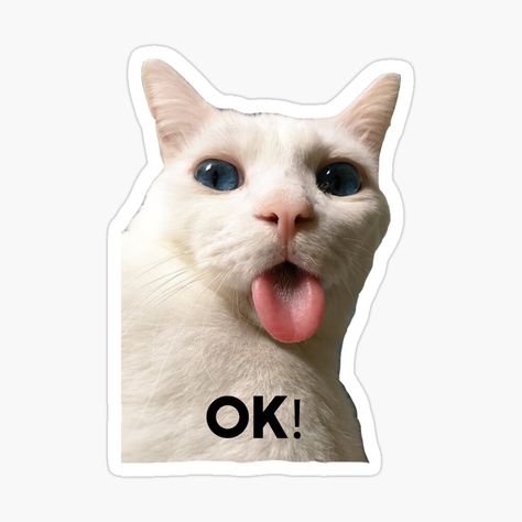 Cats Memes Funny Humor, Funny Stickers For Whatsapp, Awkward Meme, Cute Funny Stickers, Ok Meme, Crazy Stickers, Relatable Stickers, Funny Cat Stickers, Sticker Mood