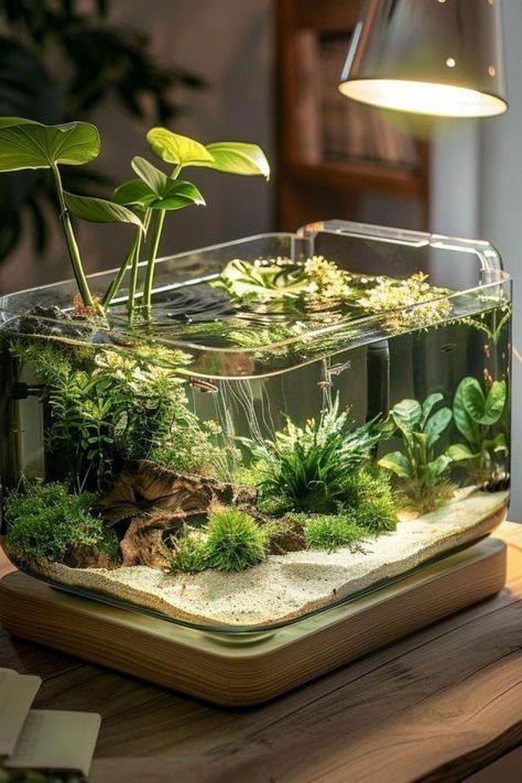 Terrarium In Fish Tank, Plant Fish Tank Ideas, Fish Tank With Live Plants, Plant Aquarium Ideas, Aquarium With Plants, Cute Fish Tank Ideas, Live Plant Aquarium, Desk Aquarium, Aquascape Aquarium Ideas