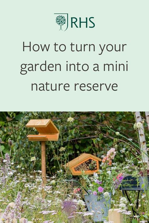 Discover five top tips for how you can create a home for wildlife in your garden, no matter its size 🐝🌳🌸 Small Wildlife Garden Ideas, Wildlife Friendly Backyard, Wildlife Habitat Garden, Attract Wildlife To Garden, Wildlife Friendly Garden Ideas, Wildlife Garden Ideas Uk, Eco Garden Ideas, Wildlife Friendly Garden, Small Pollinator Garden