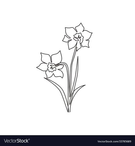 Narcissus Flower Tattoos, Garden Logo, Daffodil Tattoo, Single Line Tattoo, Narcissus Flower, Single Line Drawing, Daffodil Flower, Continuous Line Drawing, Outline Drawings