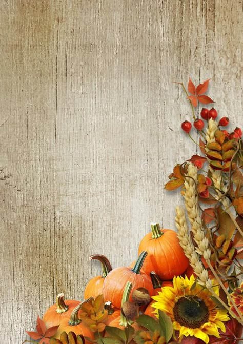 Happy Thanksgiving Card. Wooden background with autumn leaves, pumpkin, red rowa #Sponsored , #paid, #Paid, #Card, #Happy, #background, #Wooden Harvest Background, Church Thanksgiving Background, Thanksgiving Flyer, Thanksgiving Backgrounds Wallpapers, Pumpkin Background, Cute Thanksgiving Wallpaper, Harvest Pictures, Happy Thanksgiving Cards, Simple Thanksgiving Table Decor