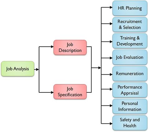 Difference Between Job Analysis and Job Description (with Comparison Chart) - Key Differences Employee Retention Strategies, Human Resources Quotes, Job Analysis, Process Chart, Organization Development, Performance Appraisal, Human Resource Development, Employee Retention, Comparison Chart