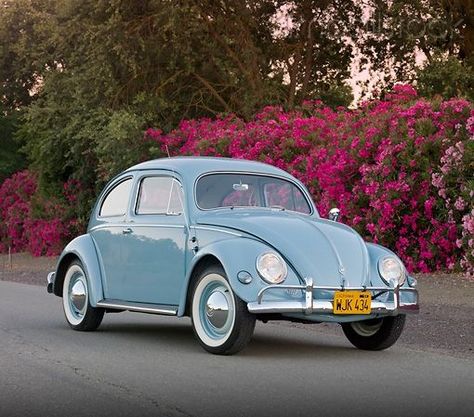 Volts Wagon, Volkswagen Beetle Vintage, Vw Classic, Beetle Car, The Beetle, Vw Beetle Classic, Vintage Volkswagen, Lovely Car, Vintage Vw