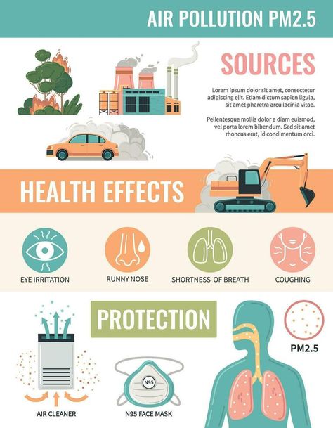 Water Pollution Infographic, Air Pollution Infographic, Environmental Pollution Poster, Pollution Activities Worksheets, Air Pollution Facts, Air Pollution Project, Pollution Project, Effects Of Water Pollution, Causes Of Air Pollution