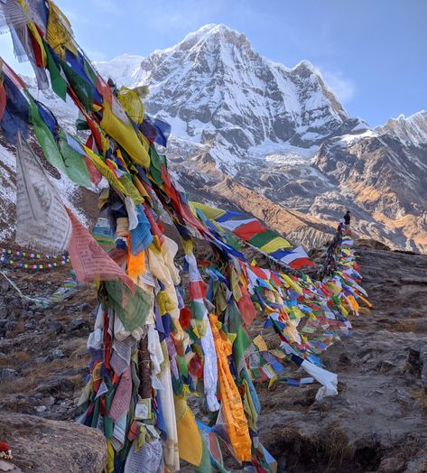 Trek Aesthetic, Base Camp, Asia Trip, Nepal Aesthetic, Tibet Aesthetic, Nepal Himalayas, Nepal Hiking, Nepal Mountains, Annapurna Trek