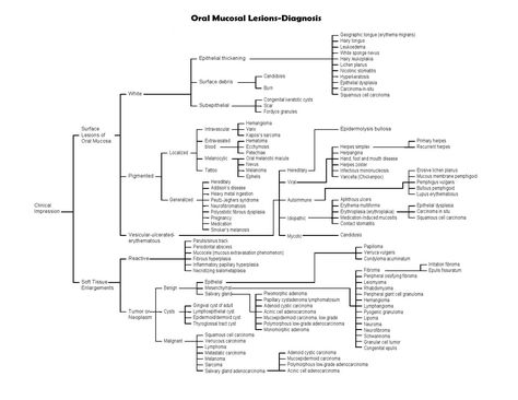 Dentistry and Medicine: Diagnosis Chart for Oral Mucosal Lesions Dental Charting, Liver Anatomy, Med Notes, No Scrubs, Oral Pathology, Dental Assisting, Medicine Notes, Dental Hygiene School, Decision Tree