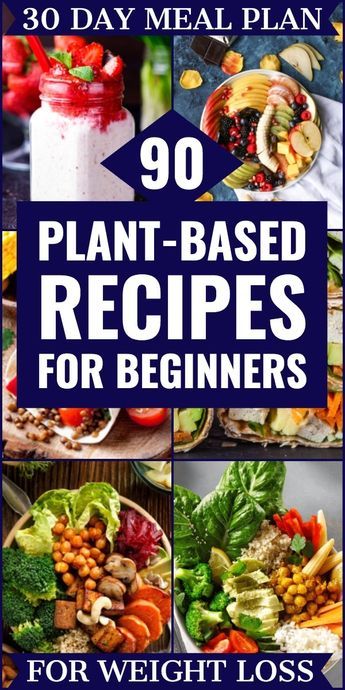 If you’re looking for tips on how to start a Plant-Based Diet to lose weight or eat healthier then check out this beginner’s guide to the Plant-Based Diet! You’ll find grocery lists and 90 simple clean eating recipes for breakfast, lunch, and dinner! With meal planning tips for healthy eating on a budget & a list of sources of protein, you’ll have everything you need to reach your weight loss & nutrition goals! #plantbased #vegan #healthy #cleaneating Simple Clean Eating Recipes, Simple Clean Eating, Plant Based Diet Meals, Healthy Eating On A Budget, Plant Based Meal Planning, Plant Based Diet Meal Plan, Sources Of Protein, Eating On A Budget, Meal Plan For Beginners