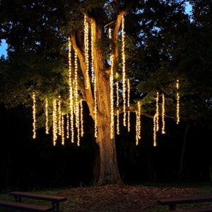 Bistro Lights Wedding, Lights Wedding Decor, Rustic Wedding Decorations, Backyard Lighting, Rustic Outdoor, Wedding Lights, Romantic Weddings, Super Ideas, Simple Weddings