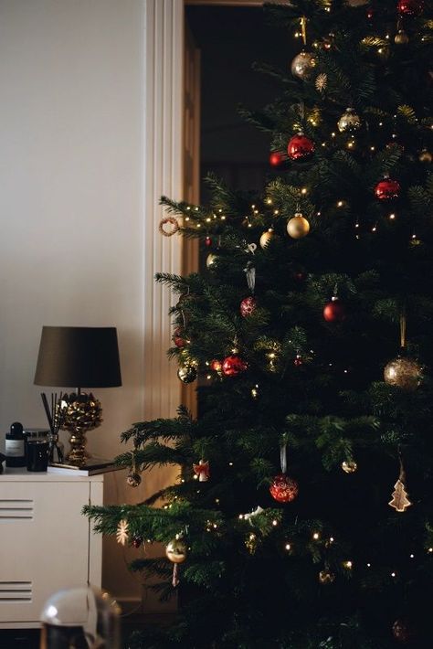 Jungkook 2020, Christmas Tree Inspiration, Christmas Feeling, Christmas Inspo, Christmas Vibes, Merry Little Christmas, Christmas Mood, Holiday Inspiration, Christmas Love