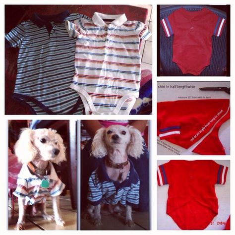 DIY dog shirt out of a baby shirt ! Easy and fast less than 5 minutes ! Dog Clothes Patterns Sewing, Yorkie Clothes, Dandie Dinmont Terrier, Clothes Patterns Sewing, Crochet Patterns For Women, Dog Clothes Diy, Dog Patterns, Sewing Fleece, Teacup Yorkie