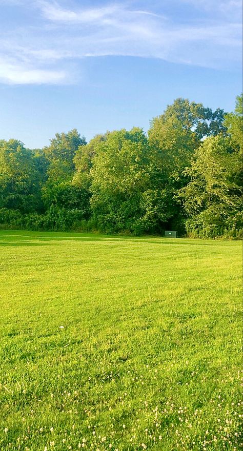 Open Green Space, Pretty Grass Field, Green Fields Photography, Field Background Nature, Grass Asethic, Background Grass Nature, Grass Background Aesthetic, Grass Picture Ideas, Grass Aesthetic Wallpaper