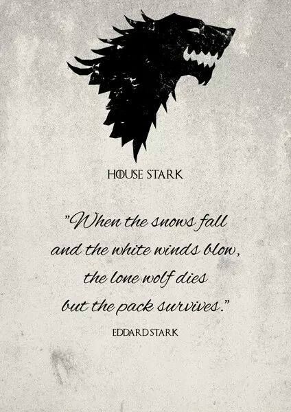 House Stark - The Pack Survives Game Of Thrones Tattoo, Bookshelf Door, Game Of Thrones Party, A Game Of Thrones, Got Game Of Thrones, Game Of Thrones Quotes, Fire And Blood, The North Remembers, Game Of Thrones Funny