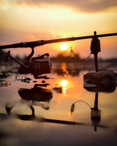 Fishing Wallpaper Iphone, Fishing Phone Wallpaper, Fishing Pictures Photography, Fishing Aesthetic, Fishing Pictures Aesthetic, Carp Fishing Wallpaper, Aesthetic Fishing Pictures, Fishing Aesthetic Ocean, Fishing Photos