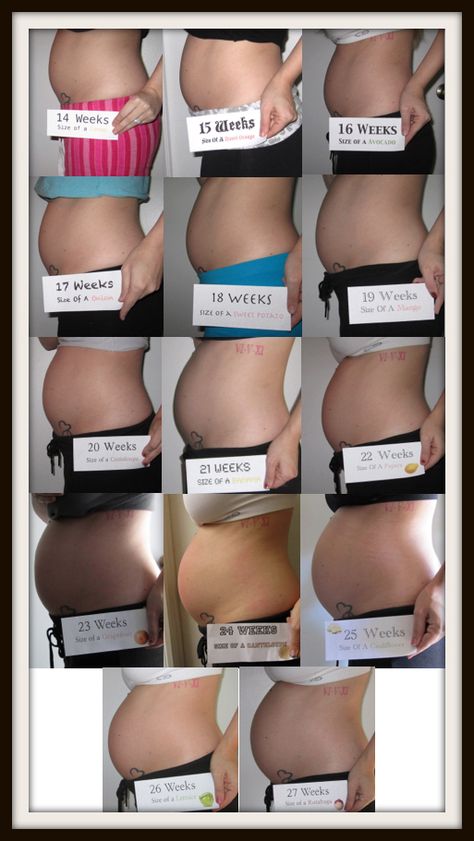 3 Months Pregnant Belly Aesthetic, 2 Month Pregnant Belly, 27 Weeks Pregnant Belly, 22 Weeks Pregnant Belly, 13 Weeks Pregnant Belly, 3 Months Pregnant Belly, Weekly Pregnancy Chalkboard, Twin Pregnancy Belly, Bump Progression