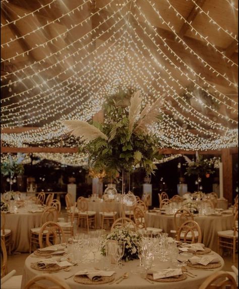 Ceiling Of Lights Wedding, Wedding Hanging Lights Indoor, Ceiling Draping Wedding Reception Halls, Indoor Wedding Lighting, Fairy Lights Wedding Decor, Wedding Tent Lights, Lights Wedding Theme, Wedding Reception Hall Decorations, Wedding Reception Lights