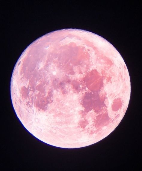 Pink Moon, Night Sky, Moon, On Twitter, Twitter, Pink