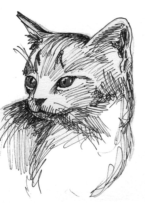 Pen Sketch Reference, Pen Painting Sketches, Black Ink Art Drawing, Ink Pen Sketching, Gel Ink Pen Drawings, Ink Drawing Animals, Quick Sketch Ideas Simple, Black Pen Illustration, Quick Sketch Ideas Sketchbooks