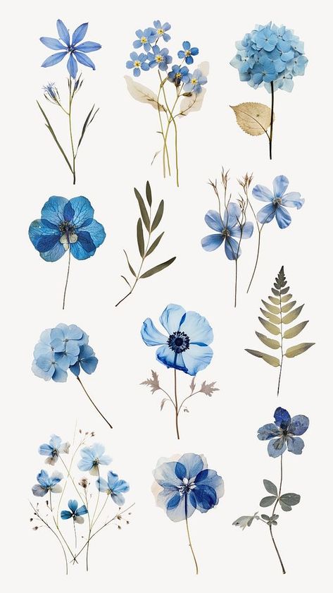 Pressed Flowers Printable, Blue Flowers Printable, Blue Pressed Flowers, Blue Design For Scrapbook, Virat Wallpapers, Blue Journal Ideas, Blue Flowers Stickers, Flowers Aesthetic Blue, Aesthetic Flower Stickers Printable