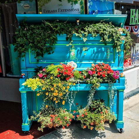 piano planter | gordon huggins | Flickr Piano Crafts, Painted Pianos, Piano Decor, Piano Art, Old Pianos, Upright Piano, Unique Planter, Flower Planters, Garden And Yard