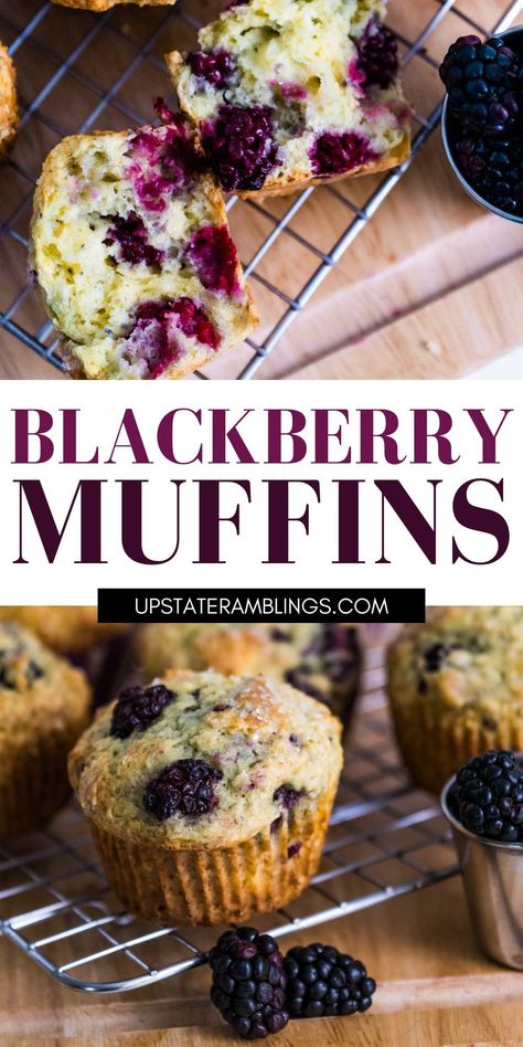 blackberry muffins Blackberry Lime Muffins, Jumbo Blackberry Muffins, Easy Blackberry Muffins Recipes, Blackberry Muffins Recipes, Black Raspberry Muffins, Blackberry Muffins Easy, Blackberry Recipes Easy, Black Raspberry Recipes, Blackberry Muffin Recipe