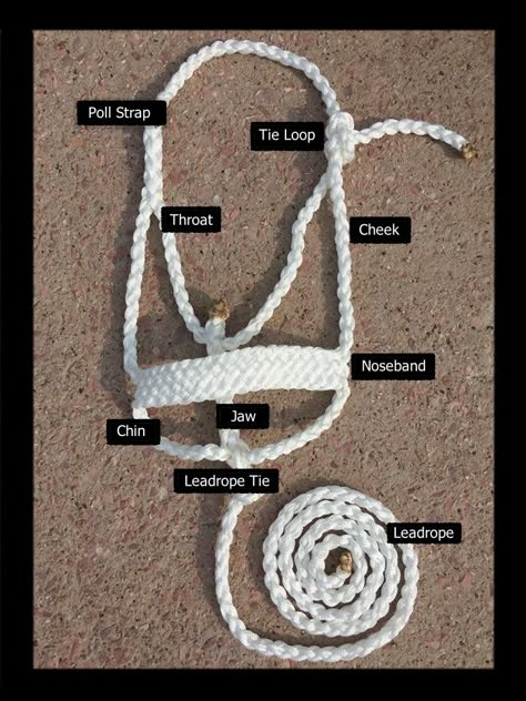 Paracord Halter Diy Horse Tack, Macrame Halter Horse, Diy Mule Tape Halter, How To Make A Horse Halter, Mule Tape Halter Instructions, Hobby Horse Tack Diy, Diy Horse Halter, Hobby Horse Pattern Free, Horse Camp Crafts