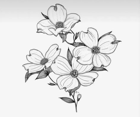 Line Work Drawing, Dogwood Tattoo, Dogwood Flower Tattoos, Tattoo Elements, Tattoos For Mom, Moth Tattoo Design, I Want A Tattoo, Dogwood Flower, Stencil Outline