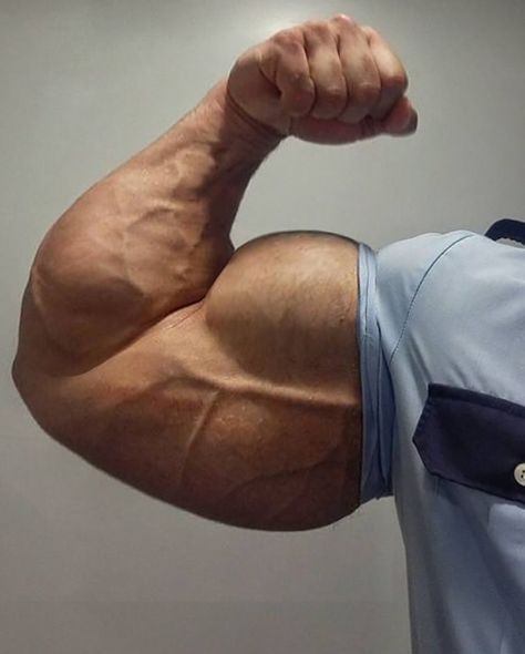 Muscle Morph, Big Forearms, Muscle Photo, Devine Masculine, Big Biceps, Big Hug, Beefy Men, Motivation Goals, Big Muscles