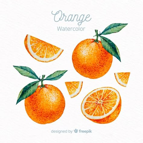 Watercolor orange set Free Vector | Free Vector #Freepik #freevector #watercolor #food #summer #fruit Photoshoot Lingerielook, Orange Clipart, Tee Illustration, Watercolor Fruits, Watercolor Orange, Fruit Wedding, Fruit Clipart, Watercolor Fruit, Wedding Invitation Card Template