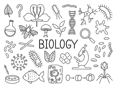 Biology doodle set. Education and study concept. School equipment, viruses, bacteria in sketch style. Hand drawn vector illustration isolated on white background Biology Drawing Ideas, Biology Doodles, Biotechnology Art, Biology Drawing, Biology Projects, Biology Art, Drawing Template, Lino Art, Hand Drawn Vector Illustrations