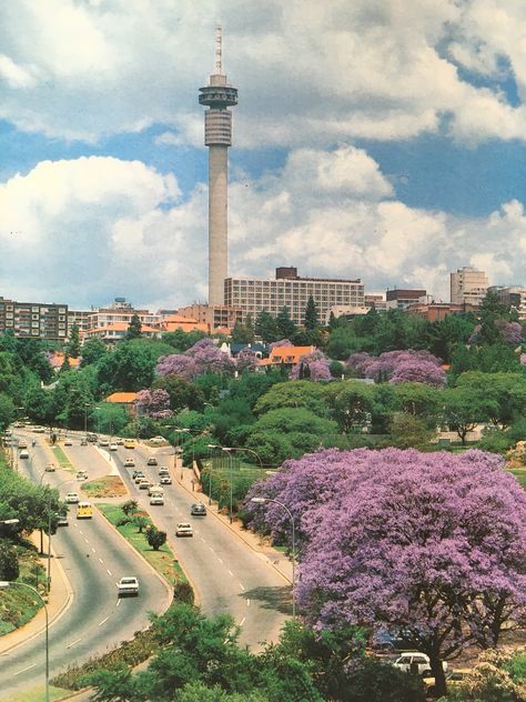 Joburg South Africa Aesthetic, Johannesburg Illustration, Pretoria South Africa Aesthetic, Johanessburg Aesthetic, Johanessburg South Africa, Johannesburg South Africa Aesthetic, Johannesburg Aesthetic, Johannesburg Skyline, South African Clothes