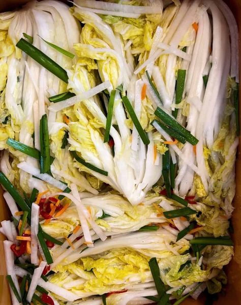 Baek kimchi or white kimchi White Radish Kimchi, Non Spicy Kimchi Recipe, Green Onion Kimchi Recipe, How To Eat Kimchi, Baek Kimchi Recipe, White Kimchi Recipe, Fresh Kimchi Recipe, Spicy Kimchi Recipe, Kimchi Easy