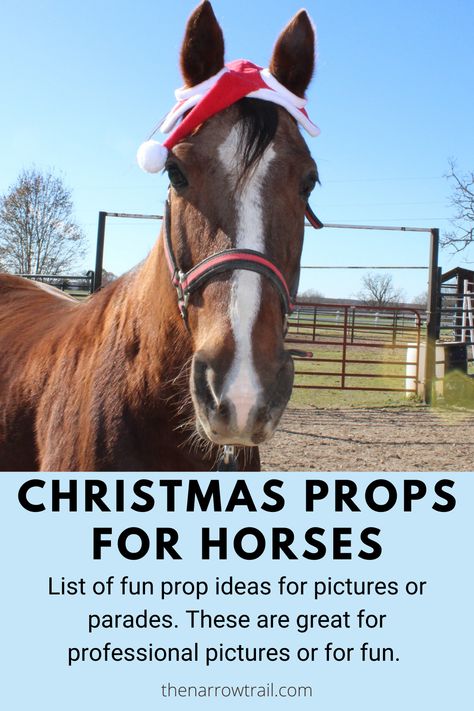 Decorating Horse For Christmas Parade, Horse Christmas Parade Ideas, Horse Christmas Pictures, Christmas Horse Photoshoot, Horse Christmas Cards, Diy Santa Hat, Camping Photoshoot, Snap Pictures, Pictures At Home