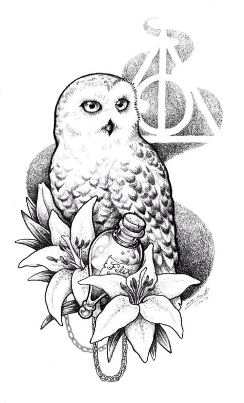 Harry Potter Deathly Hallows Symbol Drawing at PaintingValley.com | Explore collection of Harry Potter Deathly Hallows Symbol Drawing Owl From Harry Potter, Harry Potter Deathly Hallows Symbol, Hedwig Tattoo, Harry Potter Tattoo Sleeve, Harry Potter Sleeve, Harry Potter Tattoo Ideas, Hp Tattoo, Deathly Hallows Symbol, Potter Tattoo