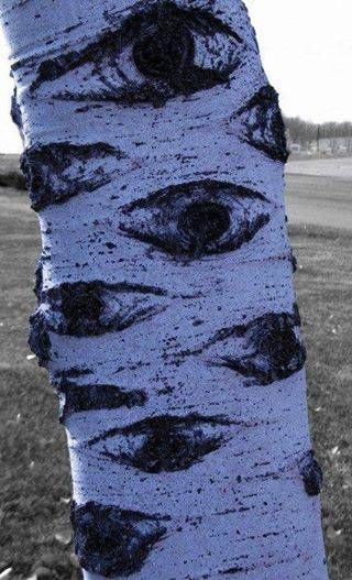 Birch tree. These trees have eyes. Arte Peculiar, Welcome To Night Vale, Night Vale, Birch Tree, Salvador Dali, Beautiful Tree, To Night, Dali, Gravity Falls