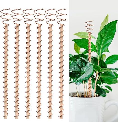 Copper In The Garden, Chair Diy Ideas, Electroculture Gardening, Electro Culture, No Till Farming, Alternative Energy Projects, Indoor Green Plants, Copper Garden, Plant Cages