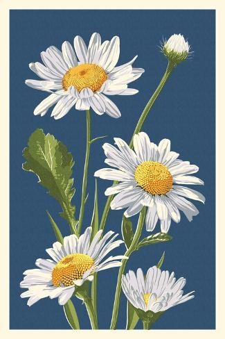 size: 18x12in Art Print: Daisy by Lantern Press : Daisy Art, Acrylic Painting Flowers, Daisy Painting, Watercolor Flower Art, Painting Flowers, Printing Press, Flower Art Painting, Painting Art Projects, Stock Paper