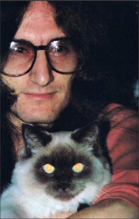 Geddy Lee Not quite a tabby. Rush Geddy Lee, Rock Pets, Legend Cat, A Farewell To Kings, Rush Concert, Geddy Lee, Rush Band, Alex Lifeson, Music House